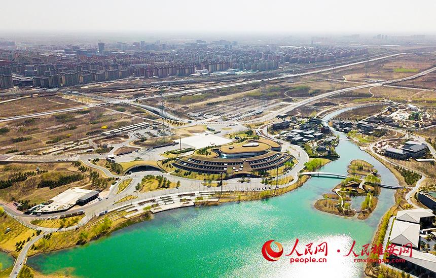 航拍雄安郊野公園。人民網(wǎng)宋燁文攝