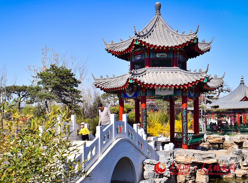 春天的雄安郊野公園，春和景明。人民網(wǎng)宋燁文攝