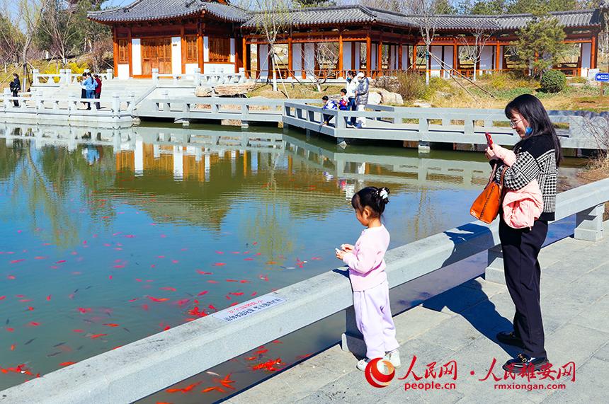 雄安悅?cè)莨珗@一角，不少家長(zhǎng)帶著孩子前來(lái)游玩。人民網(wǎng)宋燁文攝