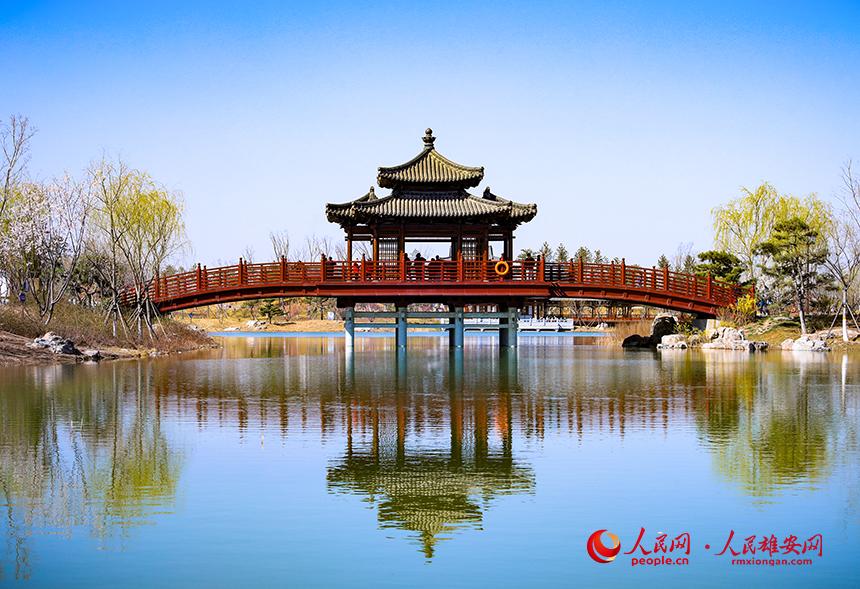 雄安悅?cè)莨珗@一角，微風(fēng)吹動(dòng)水面，泛起陣陣漣漪。人民網(wǎng)宋燁文攝