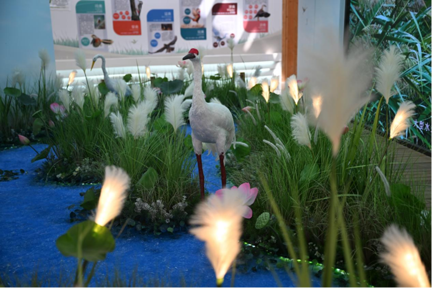 42eeabdc50fa91dcfd7fb3c8434c5afa_LOCAL1714438482117WNCU7RCF3B.png 42eeabdc50fa91dcfd7fb3c8434c5afa_LOCAL1714438482117WNCU7RCF3B.png