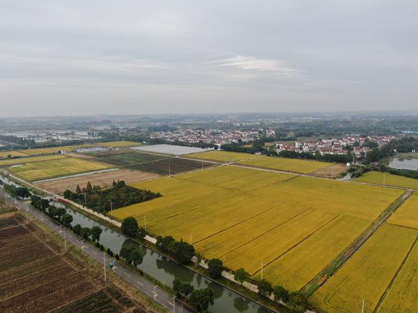 雙游村。受訪者供圖