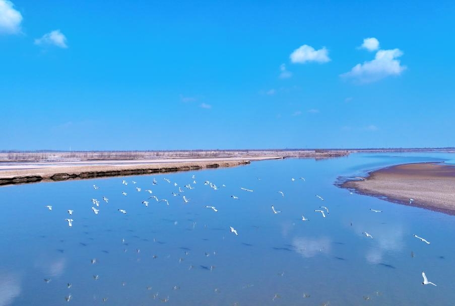 堅持以高水平保護支撐高質量發(fā)展